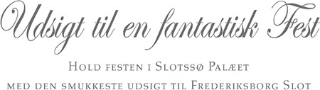 3-Udsigt-til-en-fantastisk-fest